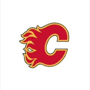 Calgary Flames NHL Hockey Card Collection - 60+ Cards - Various Seasons & Series